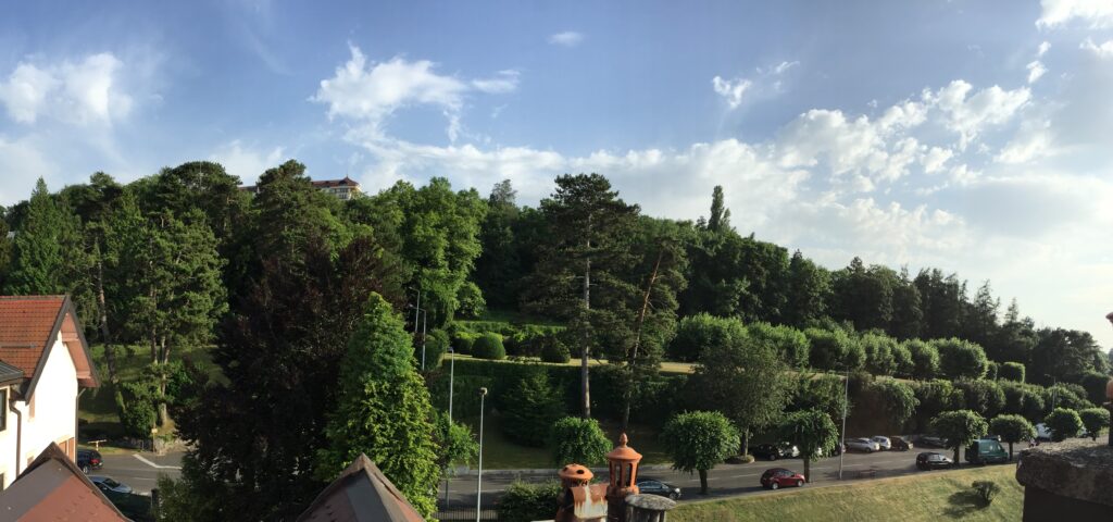 Vue parc arboré, Vue jardin, Vue hôtel Royal